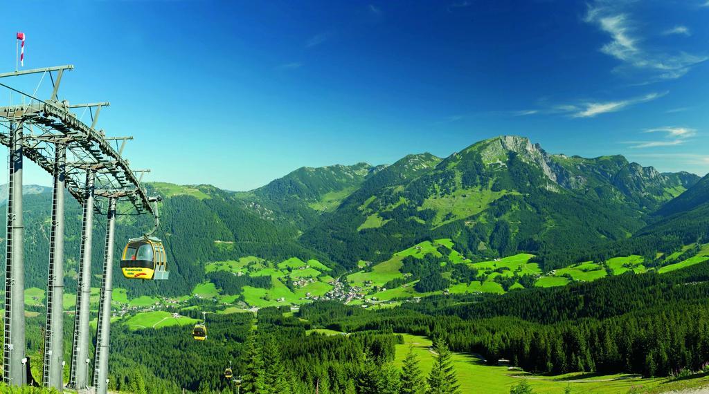 Pension Elisabeth Russbach am Pass Gschütt Dış mekan fotoğraf