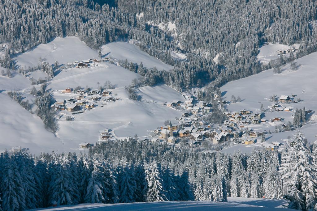 Pension Elisabeth Russbach am Pass Gschütt Dış mekan fotoğraf